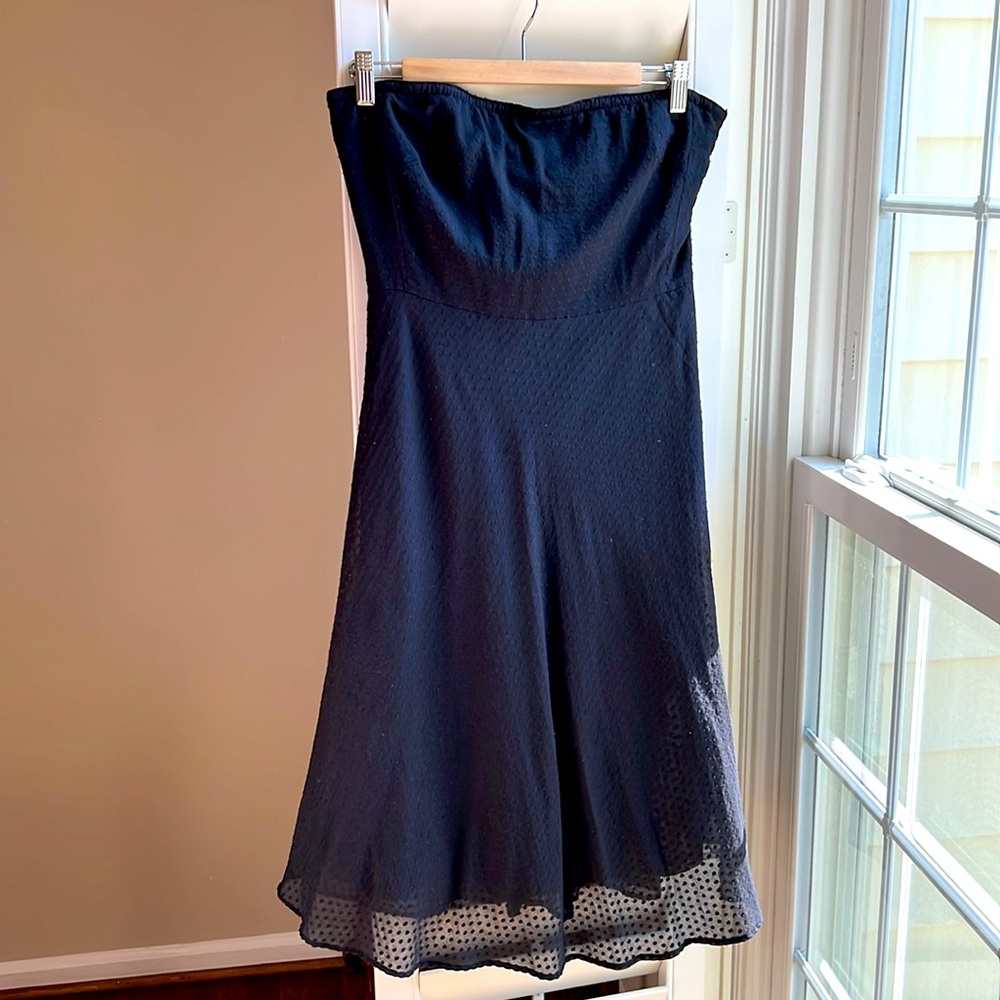 J Crew Strapless Tulle Cotton Lined A Line Dress 6